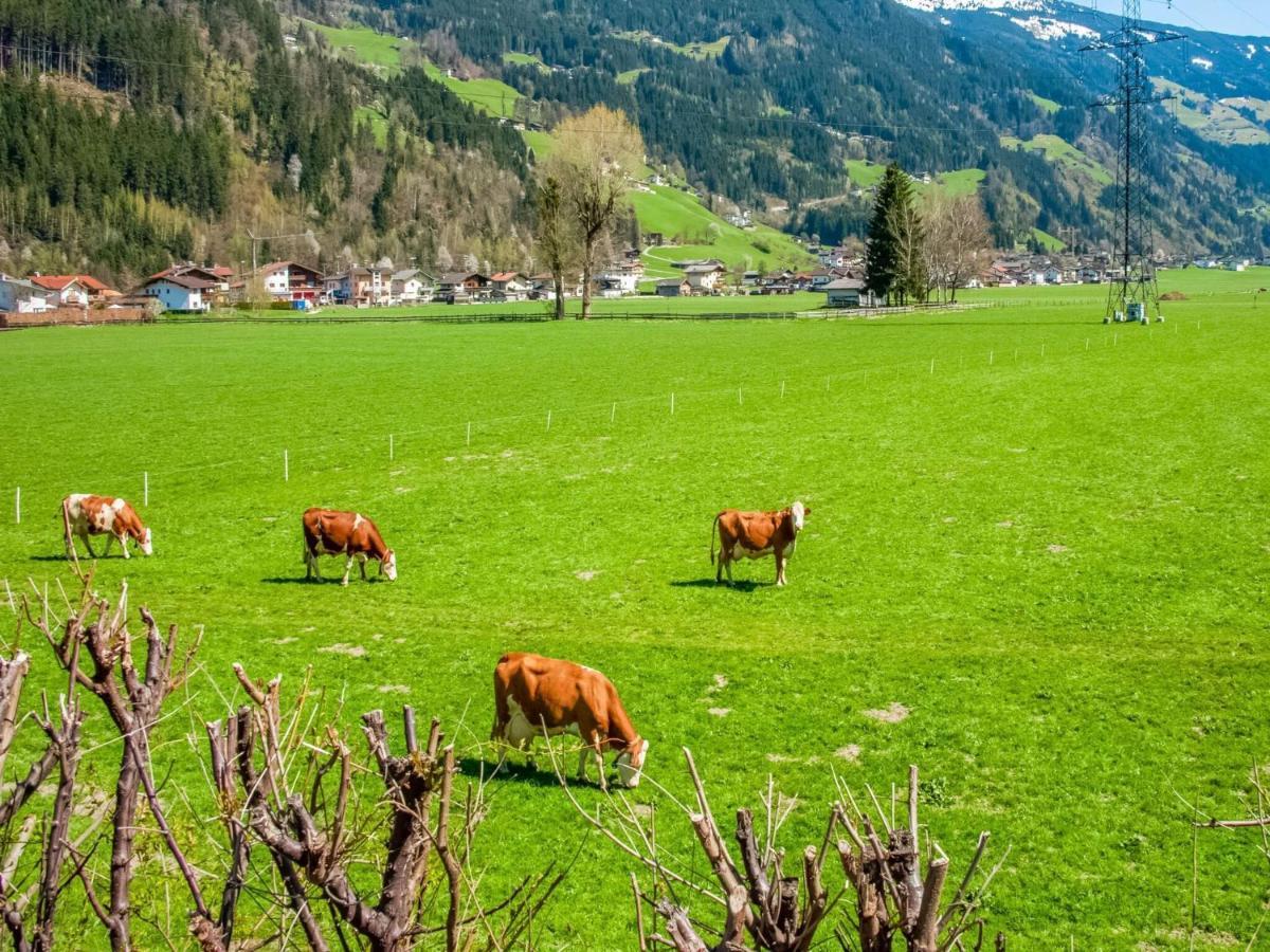 Beautiful Apartment In Ramsau With Balcony Ramsau im Zillertal Kültér fotó